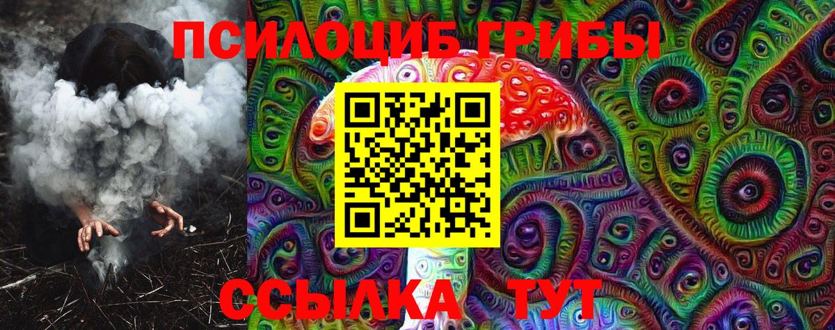 Елизово  где купить наркоту  Вход с VPN  Галлюциногенные грибы Psilocybine cubensis 