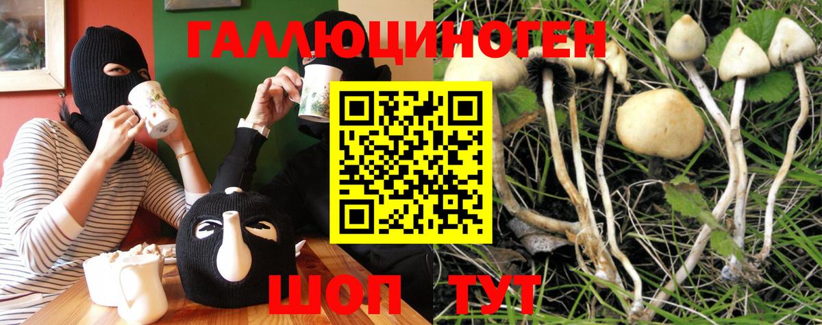 Галлюциногенные грибы мухоморы Елизово